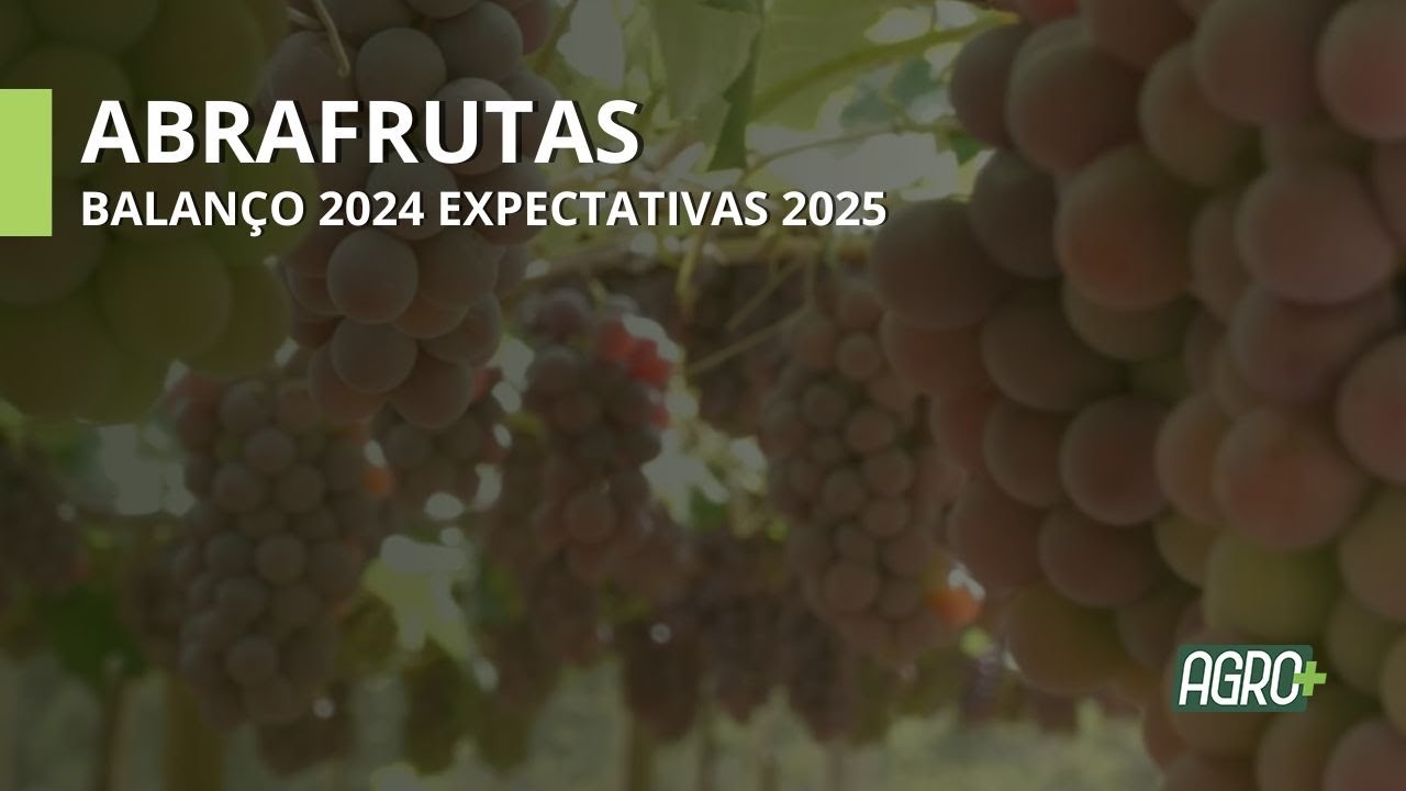 Abrafrutas: Balanço para 2024 e Expectativas para 2025