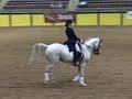 SHN Freestyle OKW Entrigue