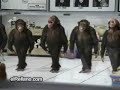 majmunsko kolo majmunsko kolo
