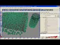 Stroika - Neighbour Field Tutorial