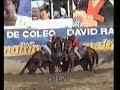 campeonato nacional de coleo categoria infantil 2008(2).flv