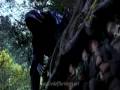 Fellowship of the ring trailer