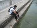 rajesh