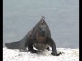 JREF galapagos adventure
