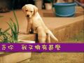 薛凱琪 慕容雪