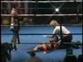 Lisa King Fight Girls Rematch