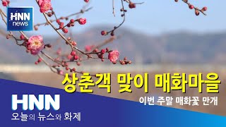 상춘객 맞이 매화마을