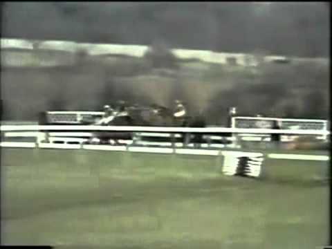 cheltenham gold cup