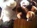 tub and rinko