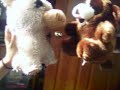 tub and rinko