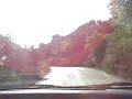 VID00017.AVI
