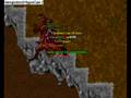 Tibia(Pbot) Lvl 81-85