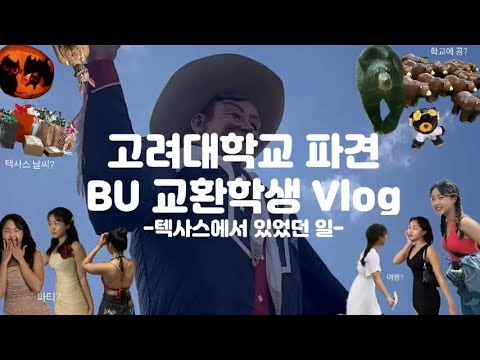 [고려대 교환학생] 24 -1 미국 Baylor University 교환학생 참여 후기 Vlog