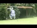 CH-7 Angel Helicopter Landing CH-7 Angel Helicopter Landing