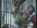Animal Bloopers