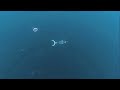 flOw (PS3) Trailer