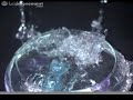 A squishy toy dropped into water in high-speed