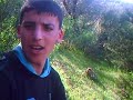 غابة زمورة
