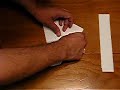 Swallow Paper Airplane
