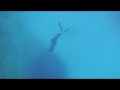 Freedive training