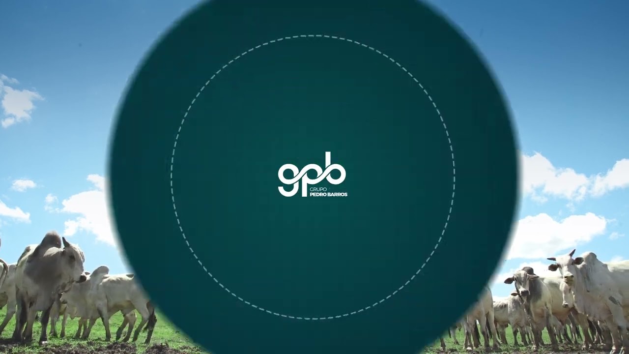 Grupo Pedro Barros 4K