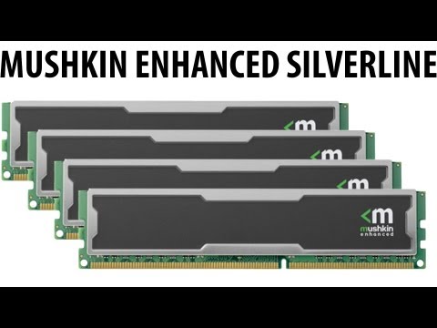 mushkin - http://logiclounge.com/2012/08/08/mushkin-enhanced-silverline-16gb-ddr3-ram-review/ In our epic gaming computer build we need to be able to run many programs...