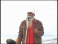 Sardara