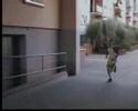 Redi Trening