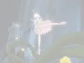 Princess Tutu & Shooting Star