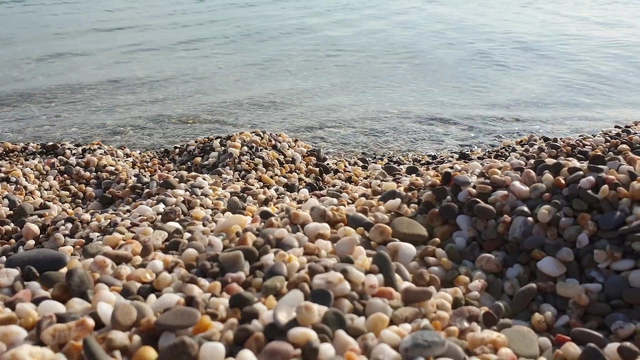 Главная