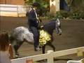 videos de NEFERTITIS DE LM