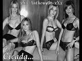 cicada - the things you say