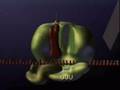 Protein Synthesis, Translation (1)