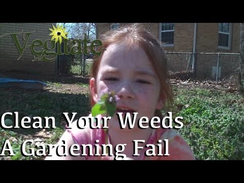 how to use 2 4-d in lawn care