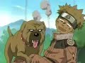 Naruto FriendsForever