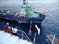Plataforma