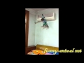 Naughty mini monkey climbing onto air conditioner 