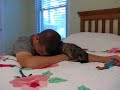 AJSavannahs F2B Savannah kitten Liberty