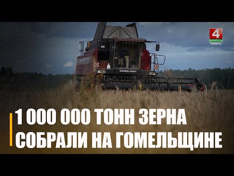Есть миллион тонн! Аграрии Гомельщины перешагнули на жатве знаковый рубеж видео