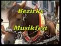 FESTUMZUG 2004 BEZAU BREGENZERWALD Bezirksmusikfest