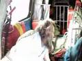 USCG Air Station Savannah Medevacs Fisherman