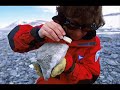 Antarctica Lies