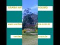 www.verdesgrama.siteonline.com.brverdesgrama@yahoo.com.brProdutor de Grama Natural, Plantas e FloresForrações Diversas Plantas Ornamentais Plantas Nativas Plantas Exoticas Plantas Frutiferas Palmaceas Trepadeira Cascata Capinagem Decoracao em Jardim Emrpeendimentos Floricultura Flores Flora Hidrosemeadura Jardineiro Jardinagem Jardins Grameira Grama Natural ( Todo os Tipos ) Gruta Manutencao em Jardim Paisagismo Paisagismo em Loteamentos Plantas Pedras Pedrisco Protetor de Arvores