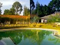 Serviço de Jardinagem e Paisagismo