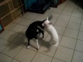 Charlie and Adina playing