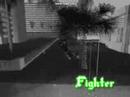 GTASTUNTING Fighter Collab With ROD