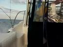 Joy Ride on DJII