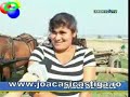 Balci de Balci in comuna Piscani, Arges!!!