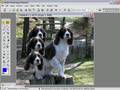 Photoshop Tutorial-Part 1 (1of2) 