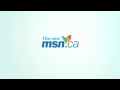 The new msn.ca butterflies